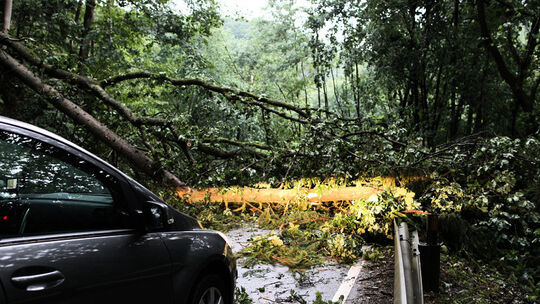 Unwetter-Teaser2 Unwetter-Teaser2