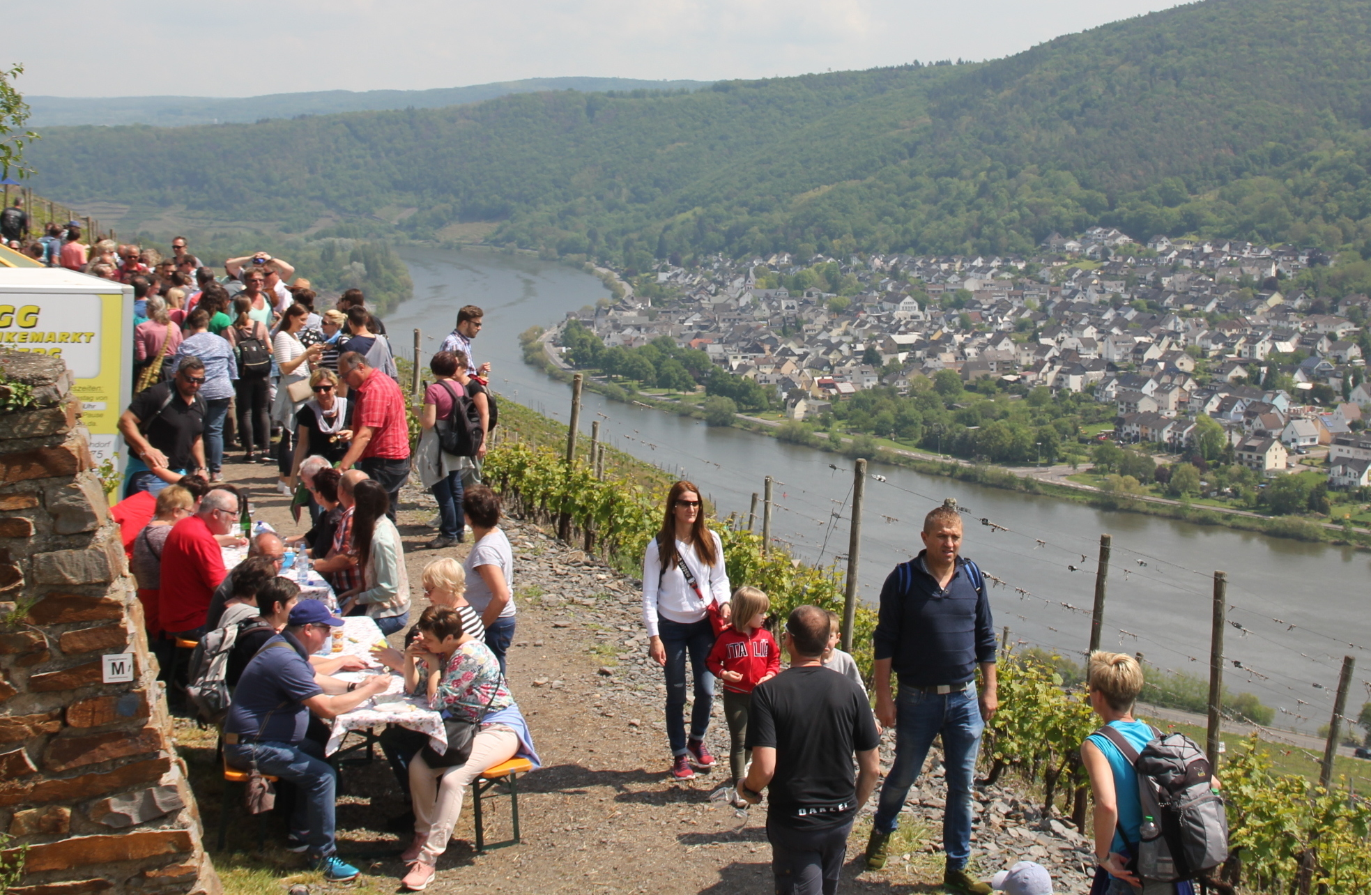 Steillagenfest in Winningen: Hunderte genießen Wein mit bester Aussicht