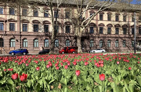 Statt in der Traumwohnung stehen Käufer vor dem Nichts