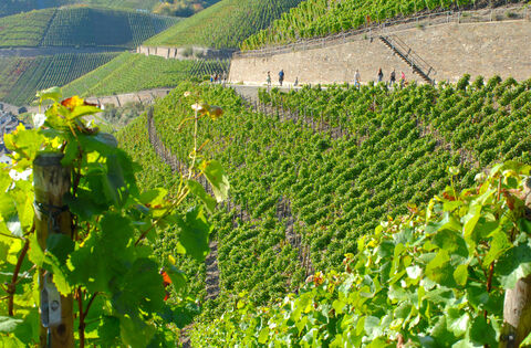 Zufriedene Gäste bescheren dem Ahrtal beste Bewertungen