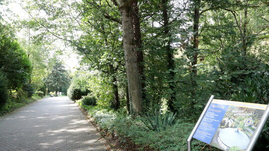 Die parkähnliche Verbindung zwischen Pilgerkirche und Pilgerzentrale soll unverändert bleiben. Die parkähnliche Verbindung zwischen Pilgerkirche und Pilgerzentrale soll unverändert bleiben.