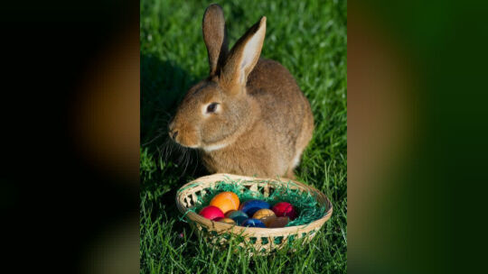 Gibt es ihn oder gibt es ihn nicht?