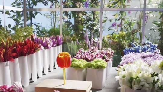 Villa Flora auf der Floriade
