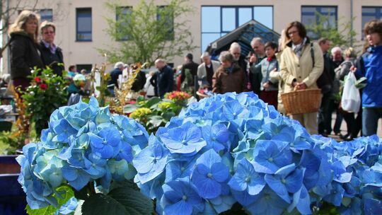 Neue Trends beim Gartenmarkt