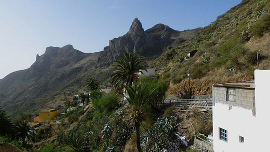 Fotos von La Gomera: Tobende Delfine, steilen Schluchten und mystische Wälder