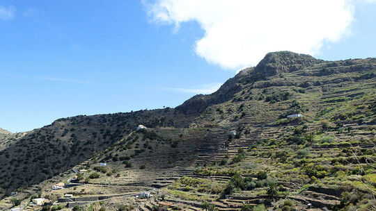 Fotos von La Gomera: Tobende Delfine, steilen Schluchten und mystische Wälder