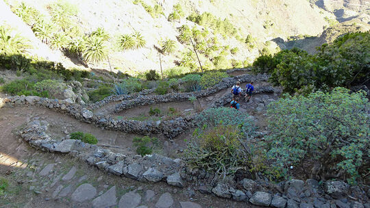 Fotos von La Gomera: Tobende Delfine, steilen Schluchten und mystische Wälder
