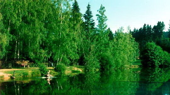 Waldsee Argenthal