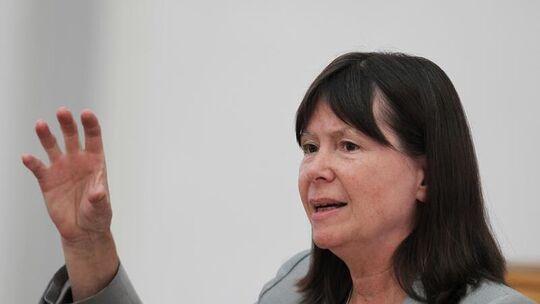 Ulrike Höfken (Grüne)