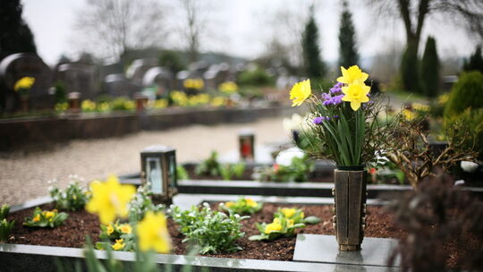 Ärger in Wissen: Waldtiere haben die Friedhofsblumen als Delikatesse entdeckt.