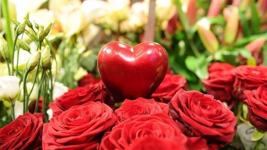 Der Klassiker: Rote Rosen zum Valentinstag