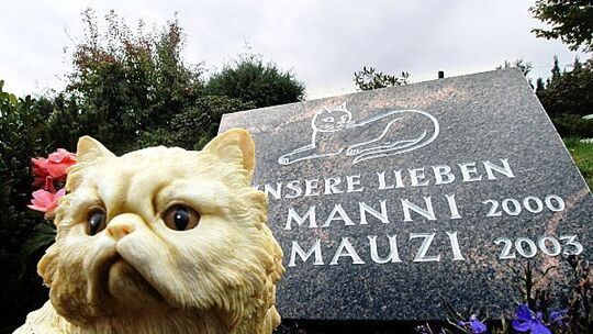 Geliebte Haustiere werden immer öfter bestattet
