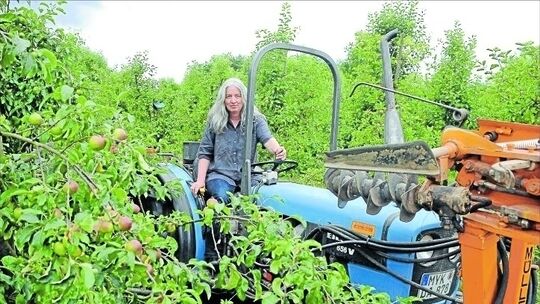 Der Markt will’s: Bauern stellen auf Öko um