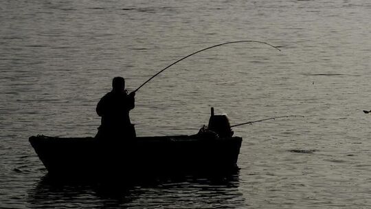 Angler