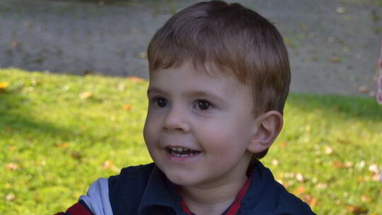 Noah sucht einen Stammzellenspender