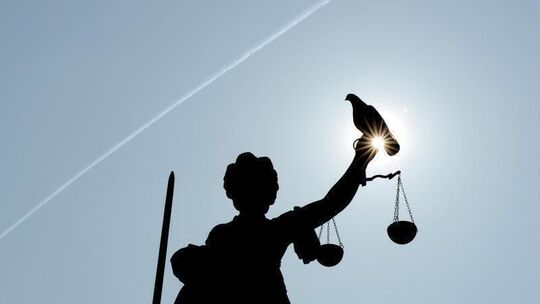 Von anderen Musterprozessen profitieren