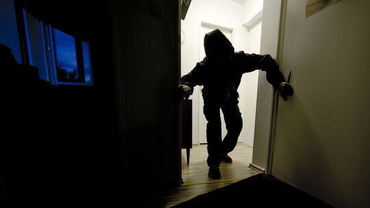 Polizei Bad Ems fasst mutmaßlichen Serienstraftäter: 46 Strafverfahren