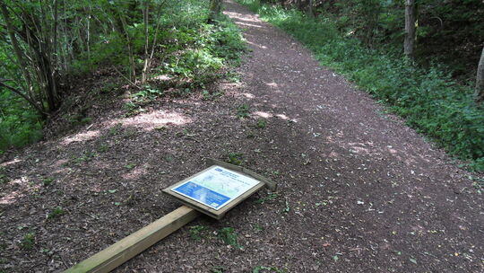 Nordic-Walking Oberlahr