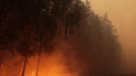 Waldbrand in Russland