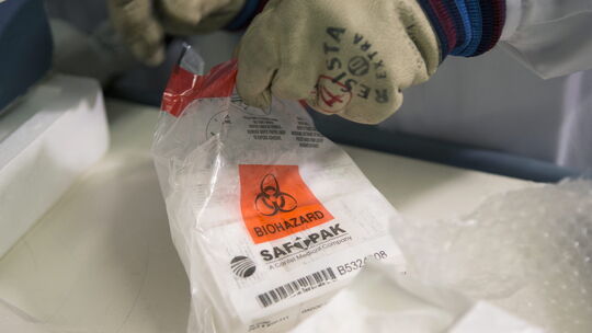 Ebola: Mediziner im Rhein-Lahn-Kreis sind auf Ernstfall vorbereitet