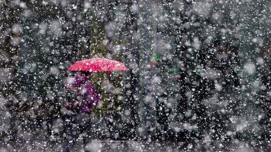 Schnee