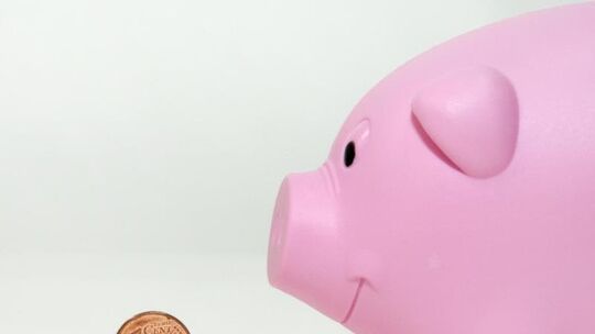 Diät für Sparschweine