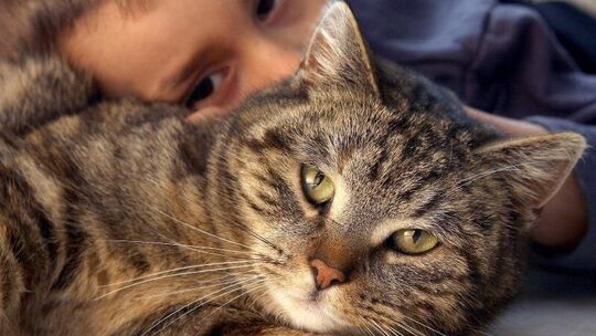 Kind und Katze