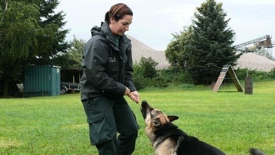 Zollhunde schnüffelten um die Wette