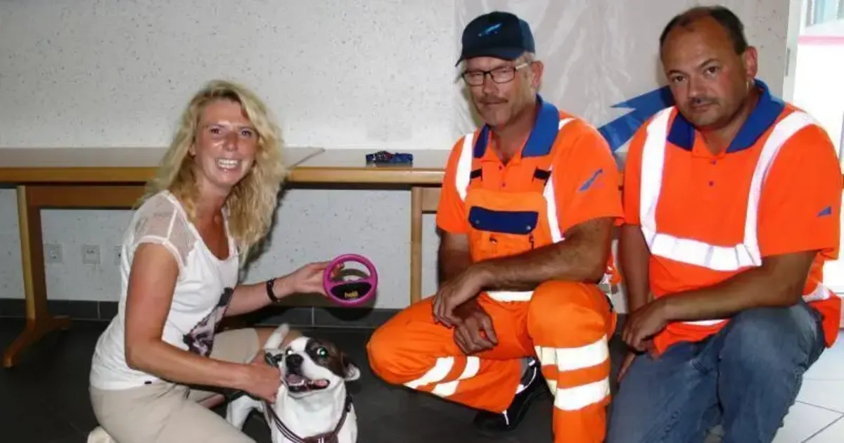 Kreis MYK Helfer ermitteln Herkunft toter Hunde Andernach & Mayen