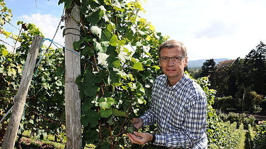Günther Jauch freut sich auf seine erste Weinlese
