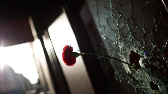 Eine Blume für die Opfer Eine Blume für die Opfer