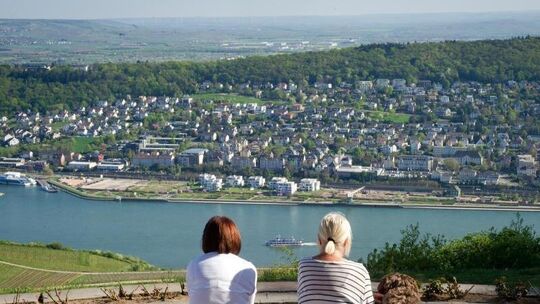 Ausblick auf das Rheintal