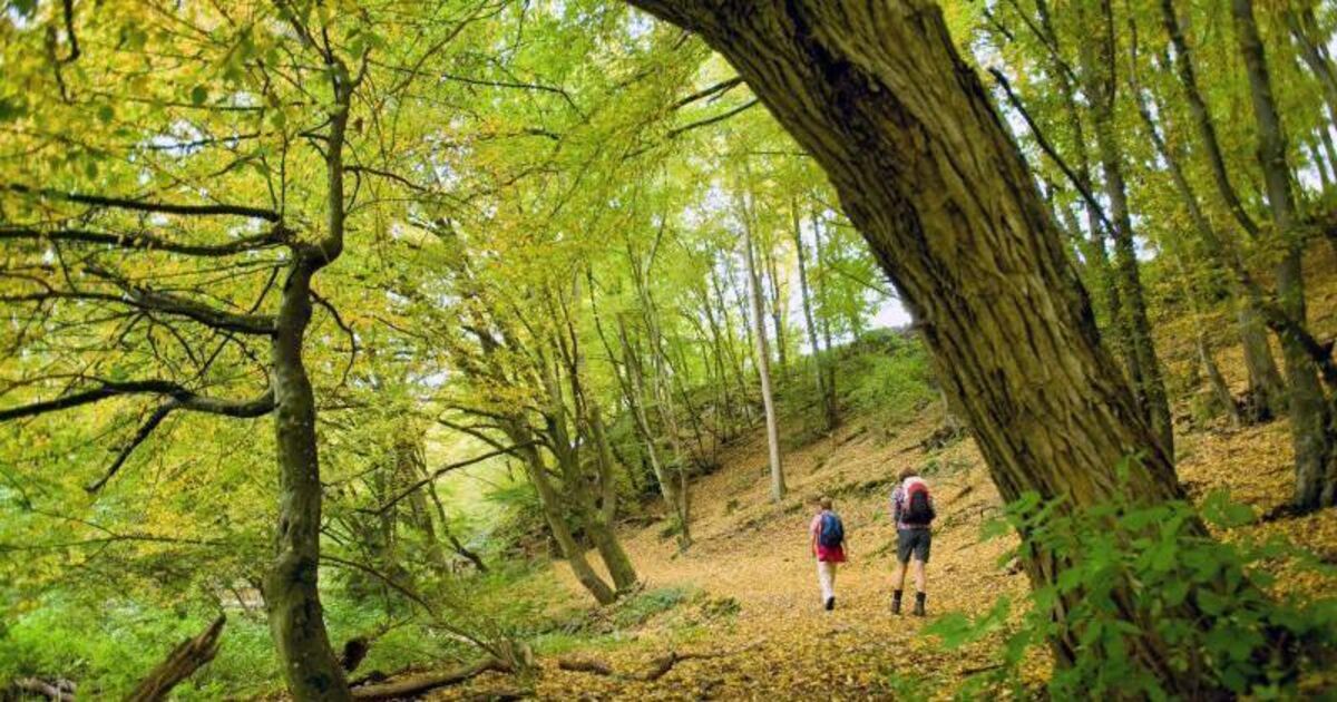 Westerwld Rundlet Westerwald soll touristisch zusammenwachsen - Kreis Altenkirchen ...