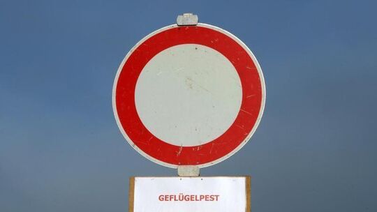 Geflügelpest