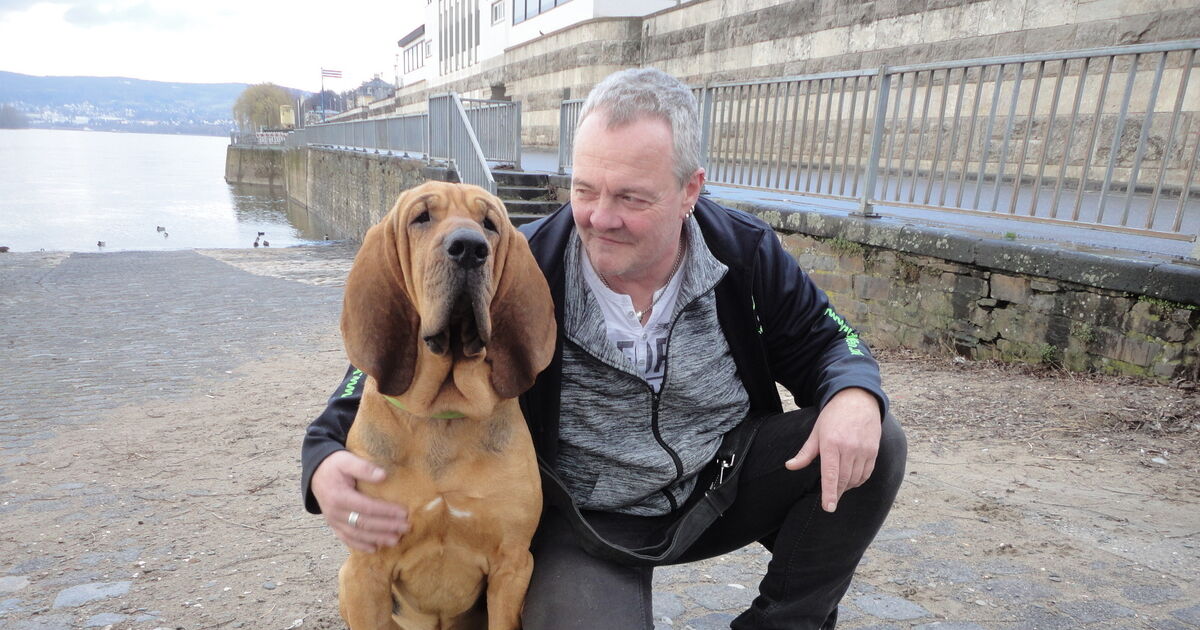 Berufsbild Frank Weikirchen und seine Bluthundetouren als Pettrailer durch  ganz Europa: Pettrailer im Einsatz: Winston und sein Herrchen spren  entlaufene Tiere in ganz Europa auf - Kreis Neuwied - Rhein-Zeitung