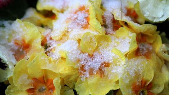 Etwas Schnee