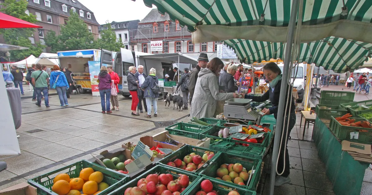 Ideen für den Münzplatz: Kann eine Halle das Markt-Problem lösen