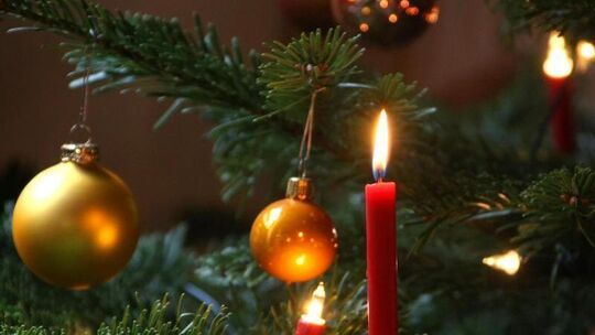 Tannenbaum