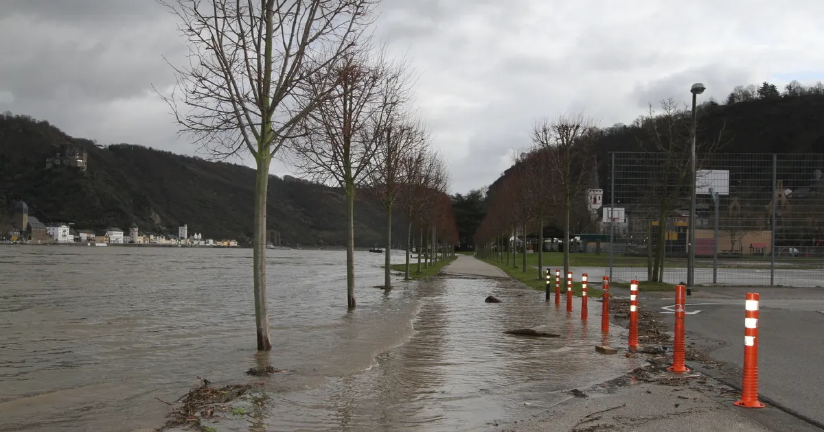 Zunehmende Pegelstände: Wasser am Rhein steigt wieder - Rhein-Hunsrück ...