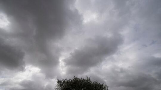 Dunkle Wolken ziehen über ein Feld