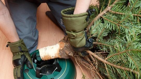 Weihnachtsbaum steht in modernem Ständer meist sicher