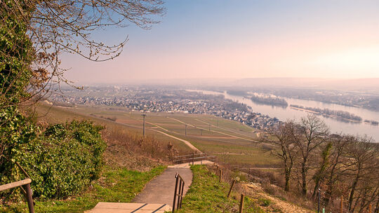 Wandern Rüdesheim