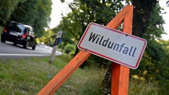 Wildunfall