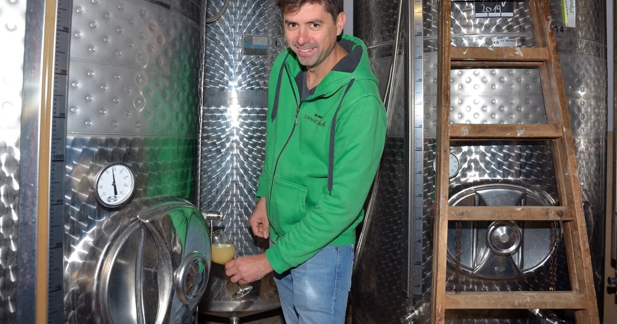 Der Cochemer Winzer Daniel Bach erklärt, was man beim gärenden Most zu