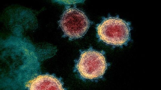 Coronavirus