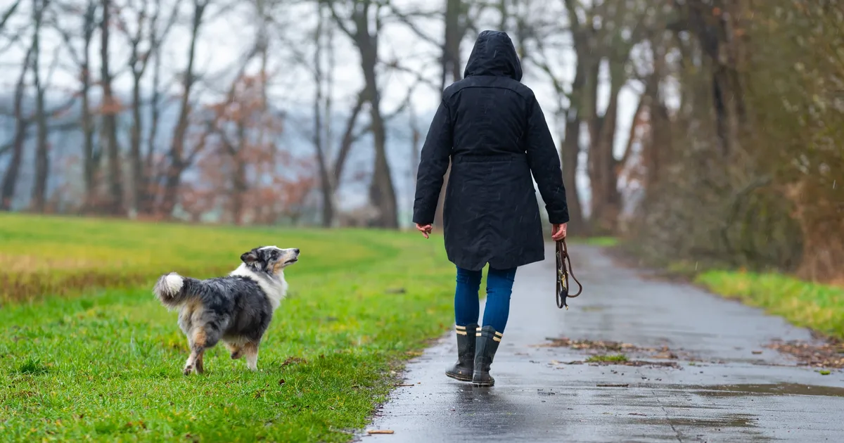 Wo Muss Ich Meinen Hund Anmelden Nicht jede Verbandsgemeinde in der Region verfügt über eine