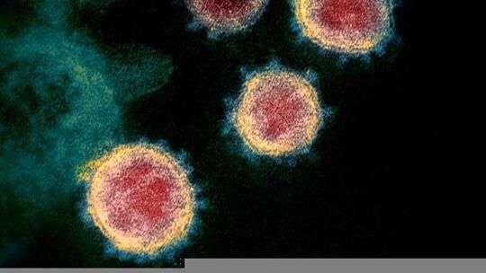Coronavirus
