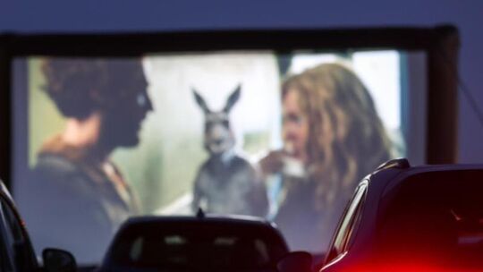 Besucher schauen «Die Känguru-Chroniken» in einem Autokino