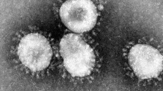 Coronavirus