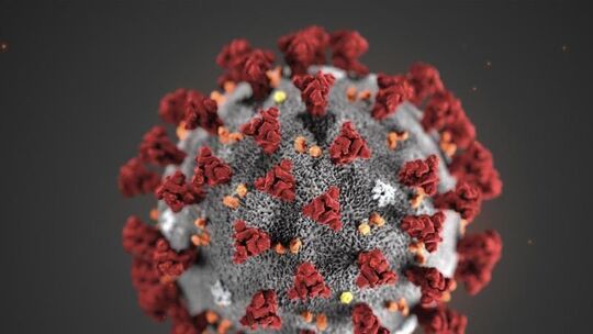 Coronavirus-Darstellung